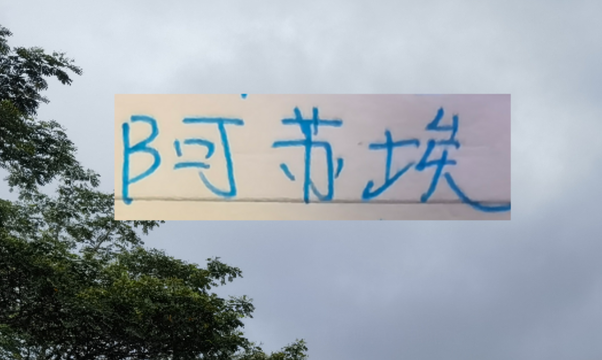 澳洲幸运十-海港也走捡漏路线了 22岁多哥外援会比24岁申花前锋高级吗